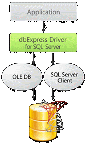 柏際公司-軟體代理的專家-dbExpress drivers